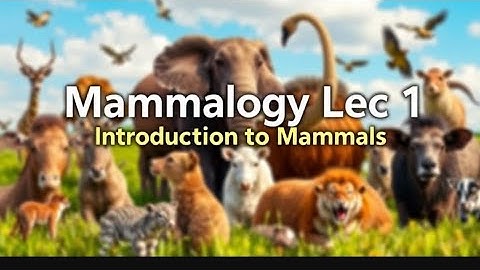 Mammalogy Lec 1: INTRODUCTION TO MAMMALS 🐬🦣.@saltymammalslearn more about mammals,#zoology #mammals 