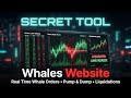 Whales Website I Tracked $500M Whale Transactions Live — Here's What I Found (Crypto Order Flow)