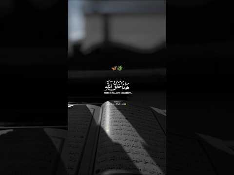 أكتب شئ تؤجر عليه القرآن الكريم ياسر الدوسري