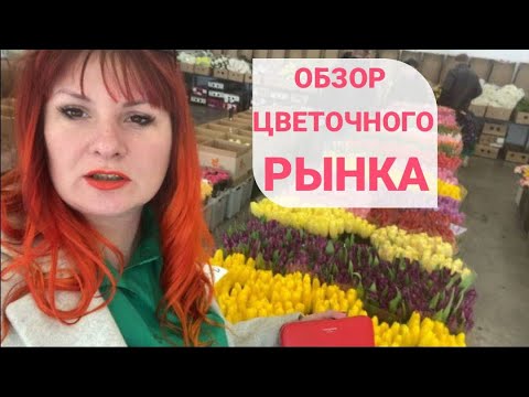 КРАСНОДАР цветы к 8 марта. Сколько стоит купить Тюльпаны в Краснодарском крае? Опт.Цветочный рынок.