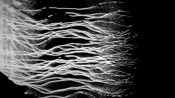 Sketch AC7637 - Soma Lyra 8