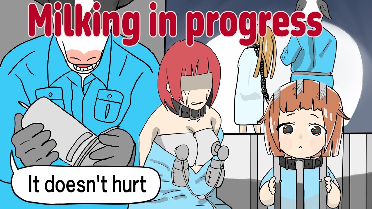 What If HUMANS Were Treated Like an Animal!?