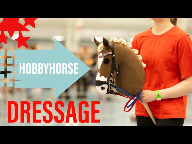 Hobbyhorse Dressage✨ 