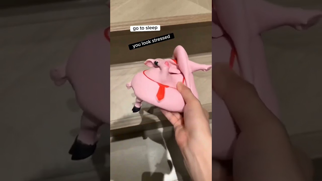 Piggy Splash Toy for Stress Relief. Squeeze, Smash, and Punch.