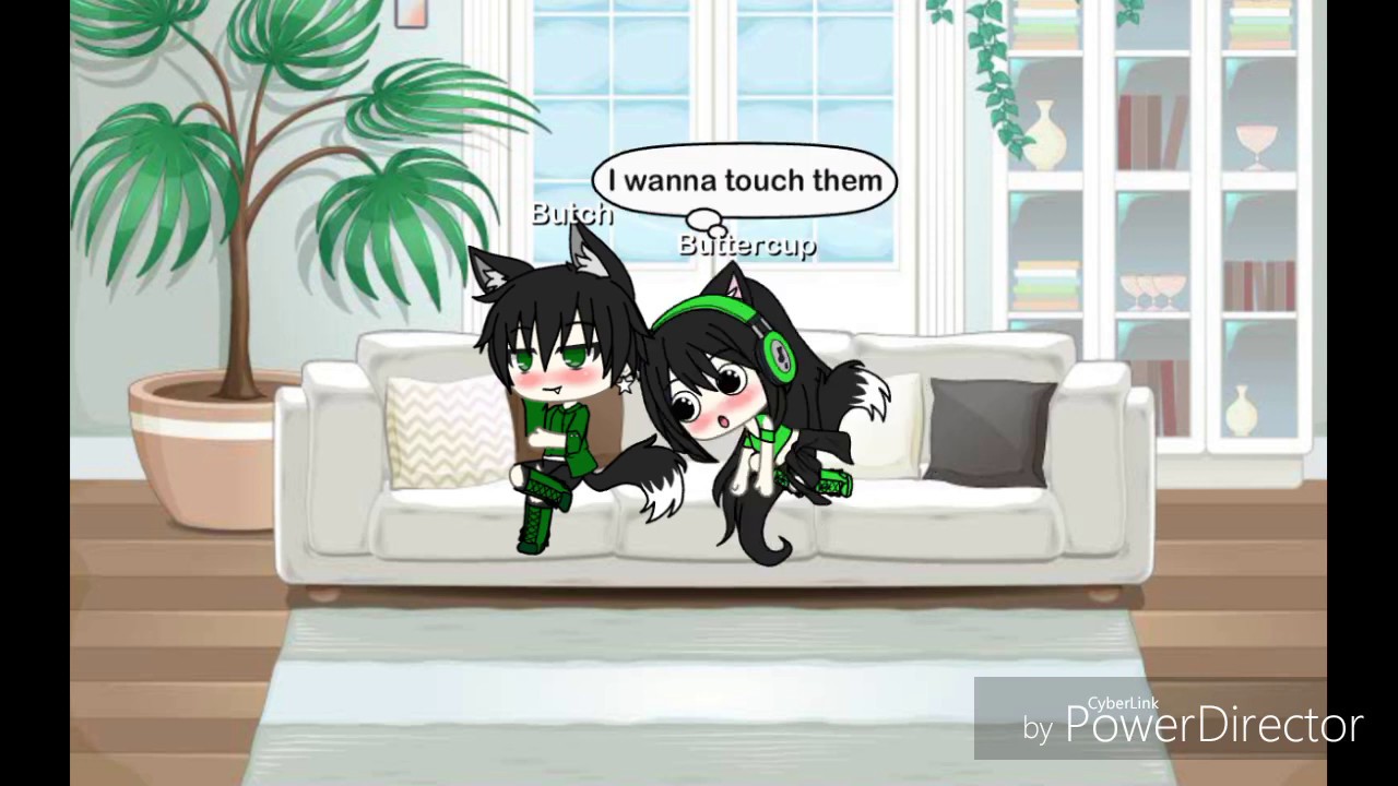 Can I touch your wolf ears/buttercupxbutch😍💗