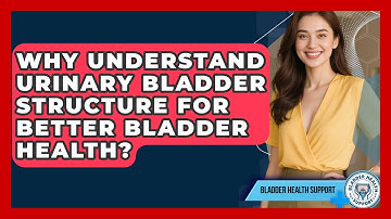 Why Understand Urinary Bladder Structure For Better Bladder Health? - Bladder Health Support