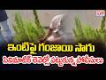 ఇంటిపై గంజాయి సాగు.. | Ex Software Employee Turns Rooftop Cannabis Grower | CVR Digital