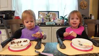 Twins try ice cream sandwich