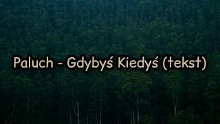 Paluch - Gdybyś Kiedyś (tekst) ♪