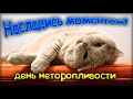 не спеши, насладись моментом! сегодня день неторопливости