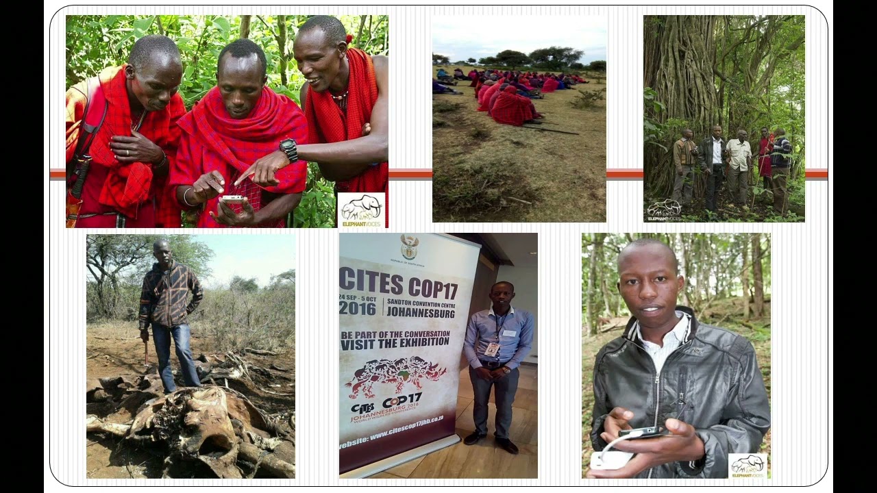 Millennial Conservation Workshop: International Fund for Animal Welfare