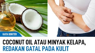 Coconut Oil Alias Minyak Kelapa, Minyak Oles Alami Untuk Gatal-Gatal | Kata Dokter