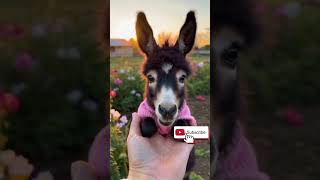 Donkey Something Urgent To Say ||Viral 🔥🔥🔥🔥