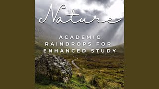 Rainfall Serenade in Study