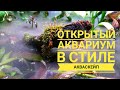 Открытый аквариум в стиле Акваскейп от Aquayozh.