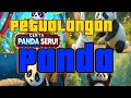 Petualangan Panda | Keseharian Panda Bersama Temannya #panda #petualanganpanda
