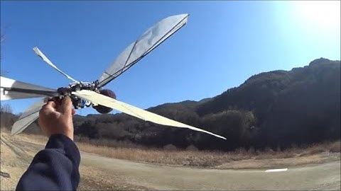 ＲＣ Dragonfly ver1 4(トンボ型羽ばたき機）　Good flight
