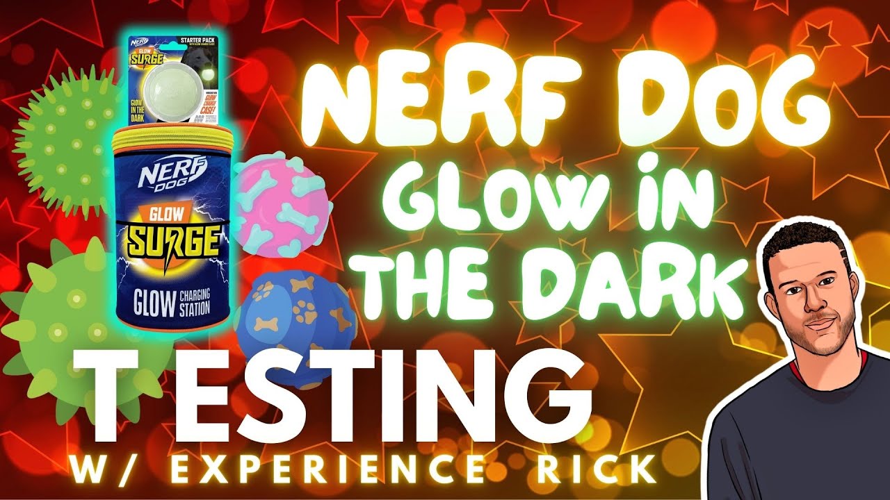 Testing our Nerf Dog - Glow In The Dark Toys and Charger