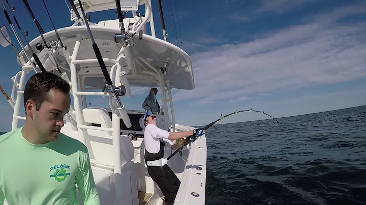 Regulator Boats For Sale - Sovereign Yacht Sales