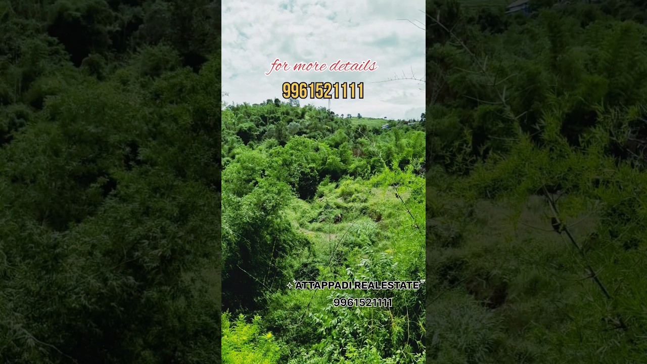 41 acre land for sale #travel #nature #land for sale
