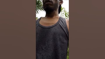 Harvesting cassava part 346 #shorts #farming #cassava #nature  #cassavaroots #cassavafarming