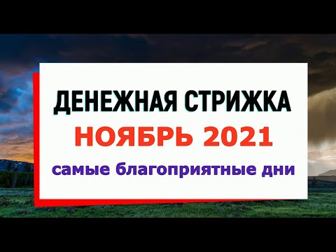 Video: 2017-жылдын ноябрь айында капустаны качан туздайбыз