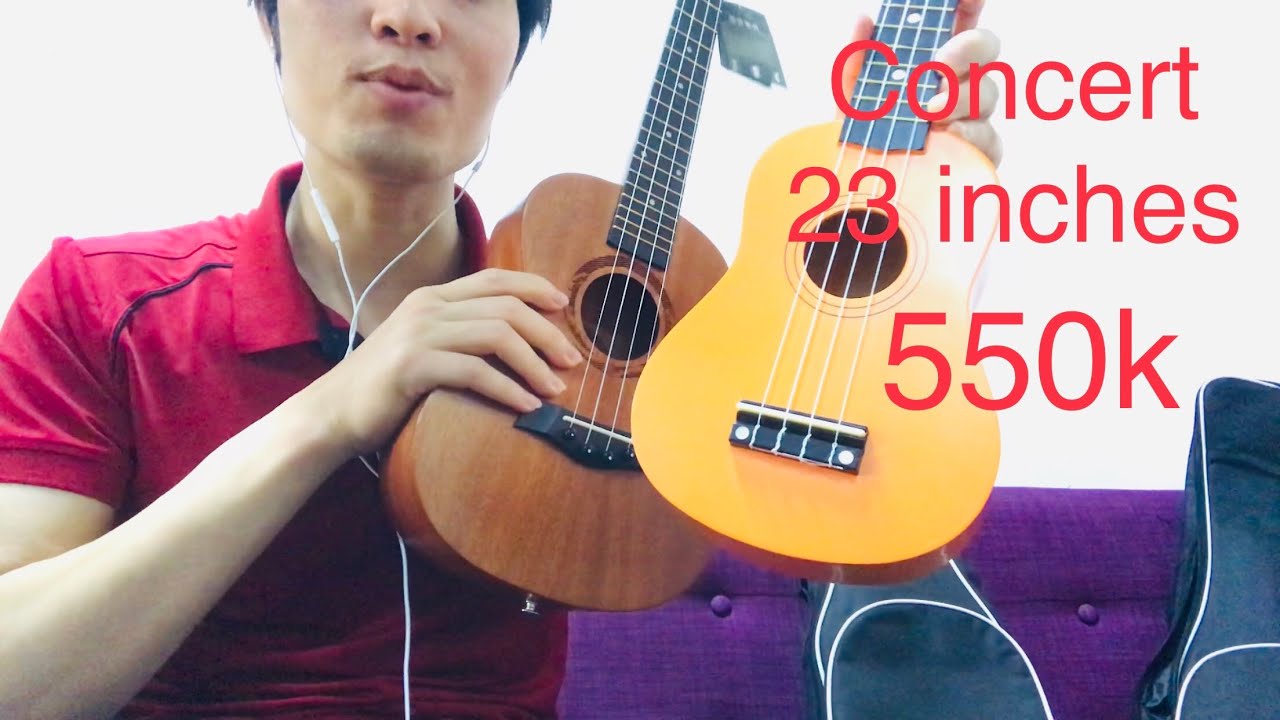 Học đàn ukulele ở hà nội | Đàn Ukulele 23 inches 550k, Ukulele concert giá rẻ tại Hà Nội