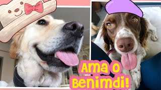 Zoe Fındık Hanımın Salatalığını Yedi