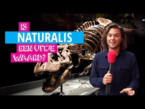 Naturalis | Is Het Een Uitje Waard?