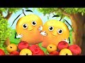 Phalon ka raja aam  hindi nursery rhymes  popular hindi children songs     