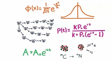 3.1 Graphing Exponential Functions 2223