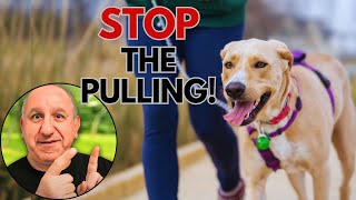 Leash Walking Training For Dogs That Are ALWAYS Pulling! by Saro Dog Training 789 views 3 months ago 38 minutes