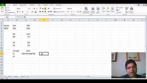 Portfolio Risk and Return Calculation