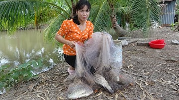 Dô Dô Rồi, Quăng 2 Chài Dính Toàn Cá To / cô giáo miền tây