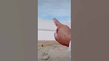 هنا وقف الرسول فى غزوة الاحزاب 