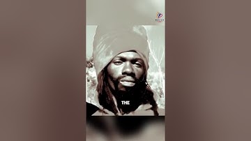 Why the Quietest Abyssinian Walked Away Forever — The Truth Fans Never Heard