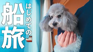 【車旅#5】愛犬と乗れる豪華客船「さんふらわあ」が凄かったwww