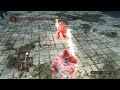 Dark Souls 2: Blacksteel Letality