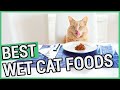 Best Wet Cat Food | 5 Best Canned Cat Foods 2020 🐱 ✅