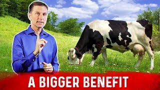 Benefits of GrassFed Products Go Beyond Just Omega3 Fatty Acids – Dr. Berg