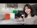 【最近の購入品】新作＆運命まで総額○○○万円👛✨ CHANEL/The Row/TOM FORD/Max Mara/HERMES/PRADA/BOTTEGA