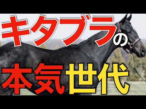 スタリオンズ2021エピファネイヤ キズナ オルフェーヴル