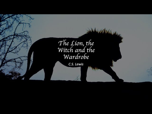 Lion, fantasy, leu, aslan, narnia, HD wallpaper