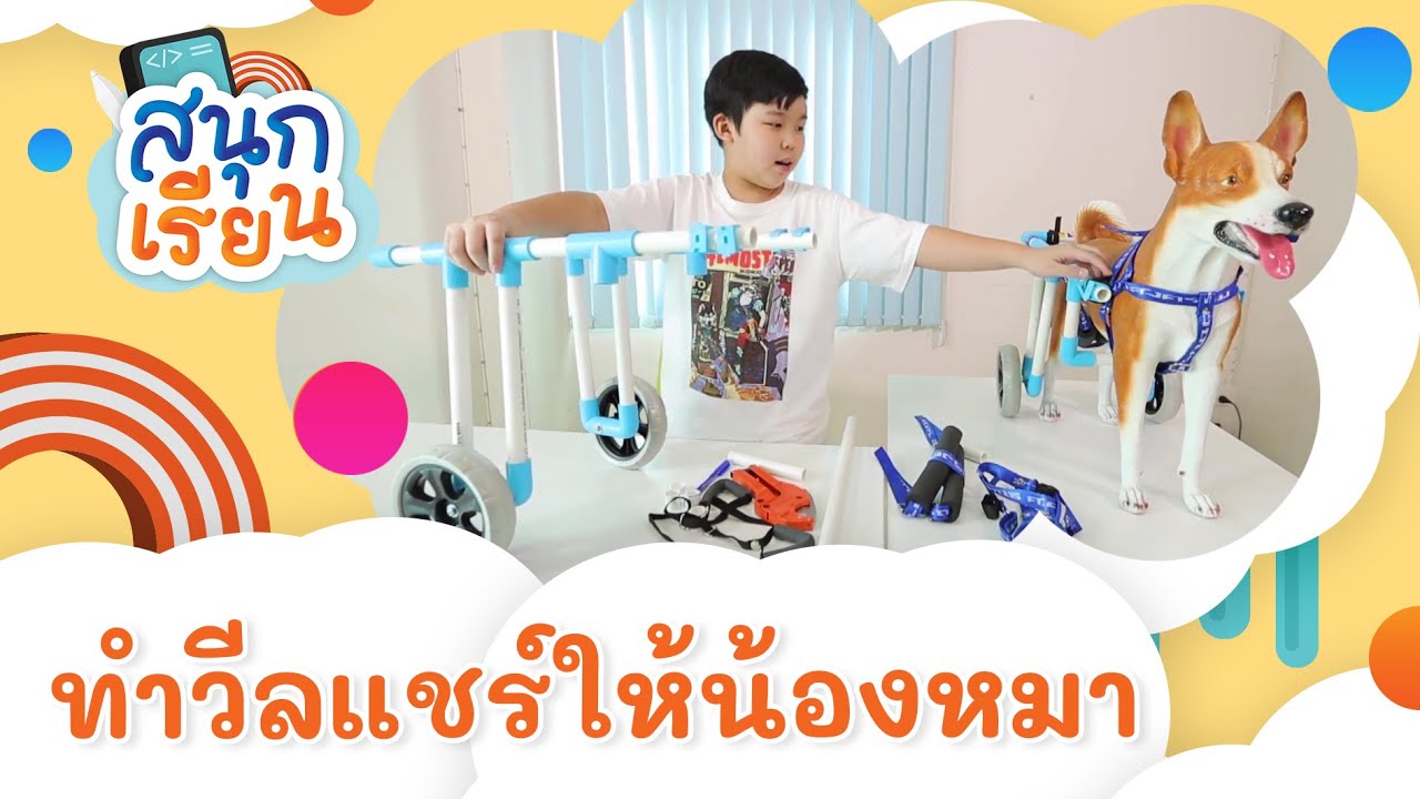 ทำวีลแชร์ให้น้องหมา รถเข็นหมาพิการแบบทำเอง | สนุกเรียน1 ep.18