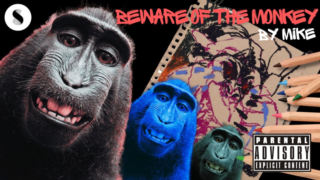 🚫🐒