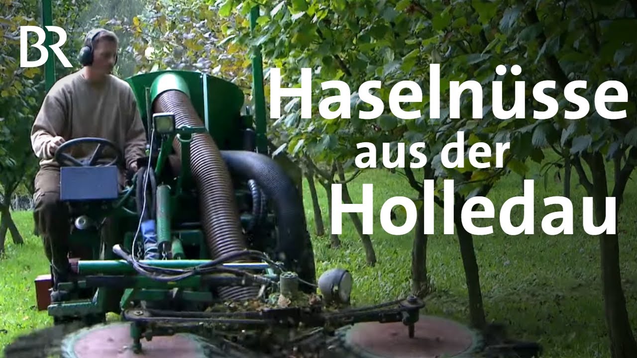  Update Nuss statt Hopfen: Der Haselnussbauer aus der Holledau | Schwaben \u0026 Altbayern | BR