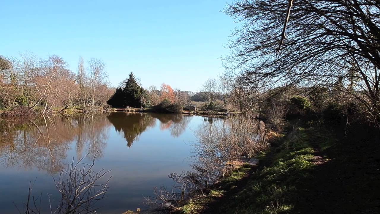 SOUTH VIEW FISHERY SHILLINGFORD ST. EXETER, DEVON YouTube