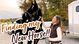 GETTING my NEW HORSE!! | Hailey Liberty