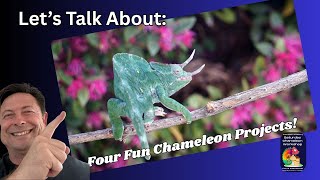 Four Fun Chameleon Project Discussion
