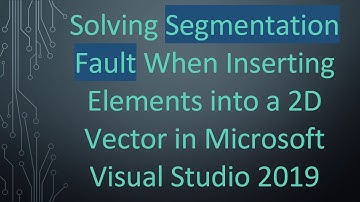 Solving Segmentation Fault When Inserting Elements into a 2D Vector in Microsoft Visual Studio 2019